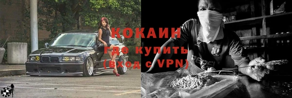 прущие грибы Киреевск