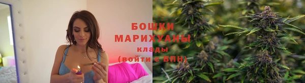 прущие грибы Киреевск