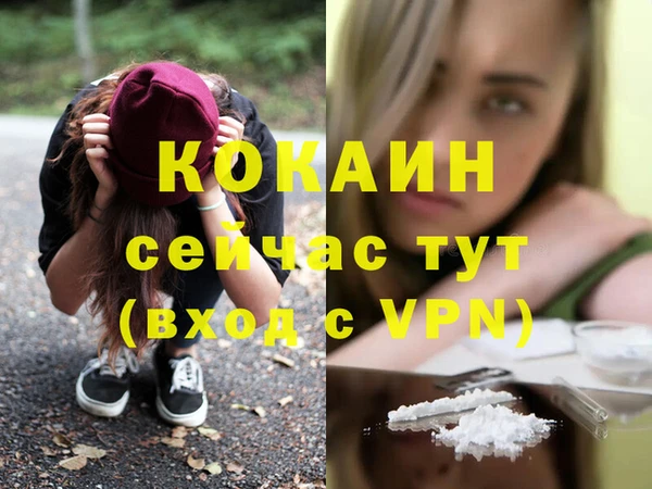 прущие грибы Киреевск
