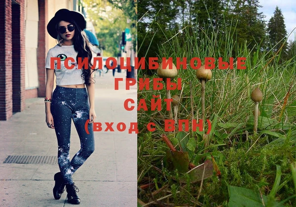 бошки Киренск